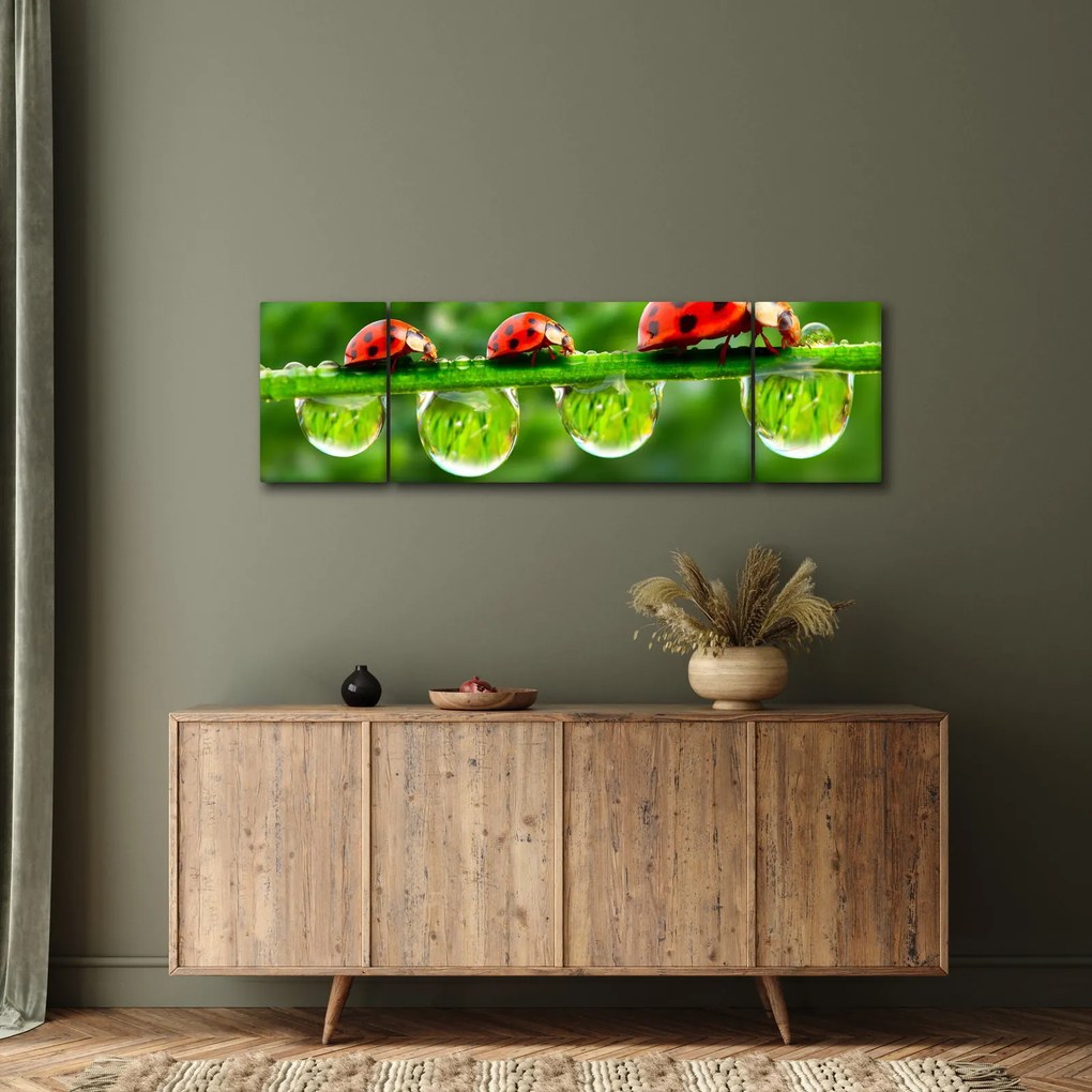 Obraz - Sunshine of the Seven Suns (170x50 cm)
