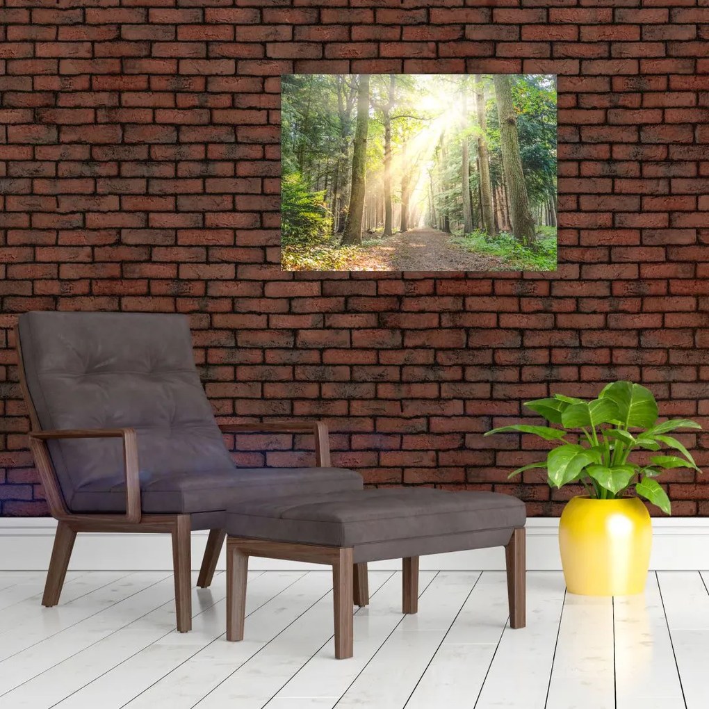 Obraz ścieżki w lesie (70x50 cm)