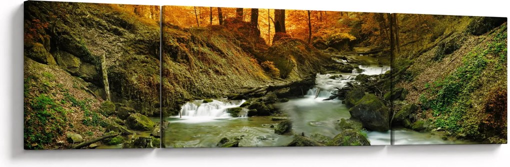 Obraz - Las (170x50 cm)