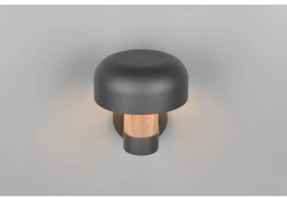 Zewnętrzna lampa ścienna (wysokość 24,5 cm) Fraser – Trio