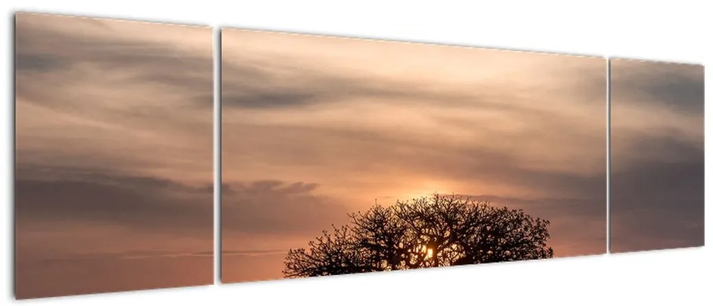 Obraz zachodu słońca w Tanzanii (170x50 cm)