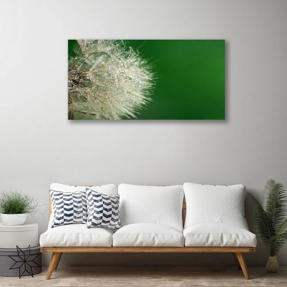 Obraz na płótnie Puszysty Mniszek Lekarski