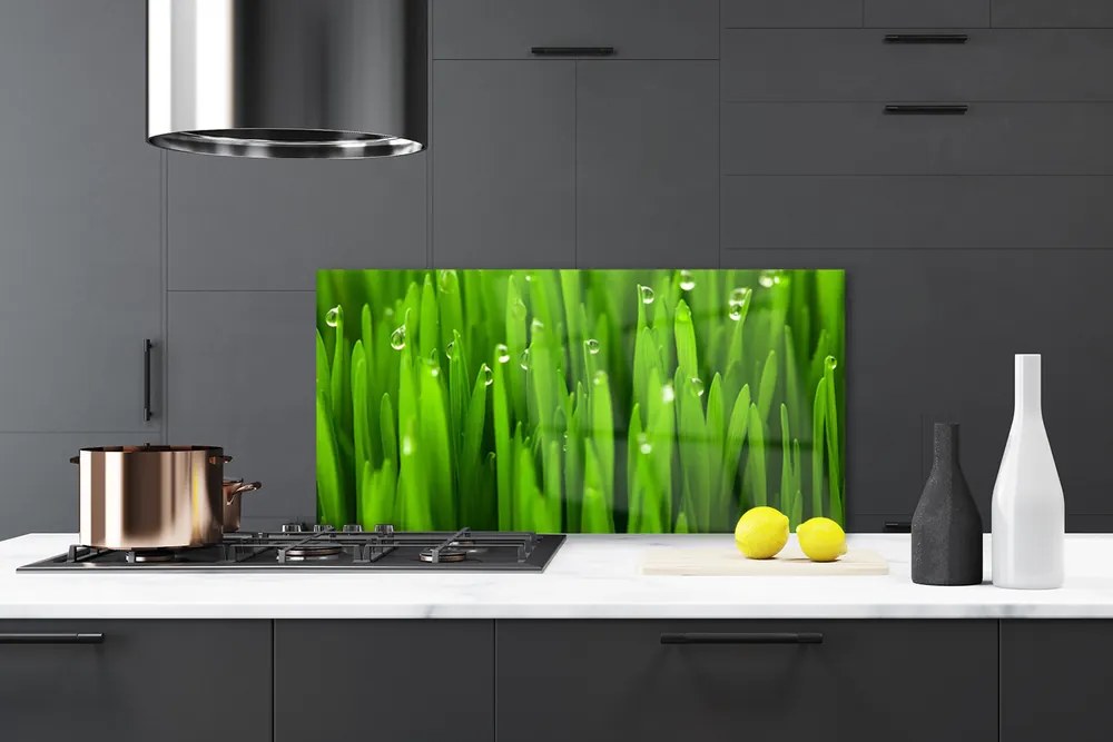 Panel Kuchenny Naturalne Źdźbła Trawy