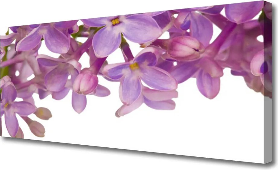 Fotoobraz na płótnie Kolorowa Łąka na Płótnie