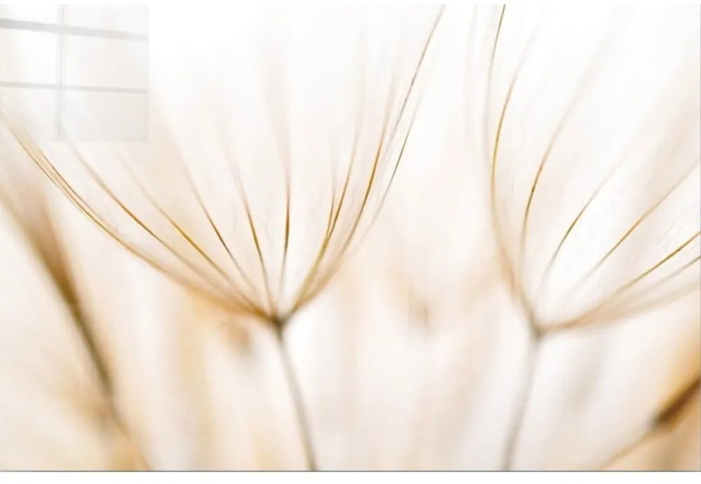 Szklany obraz 100x70 cm Fluff – Wallity