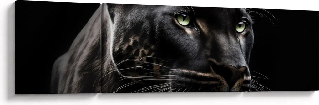 Obraz - Czarna Pantera (170x50 cm)