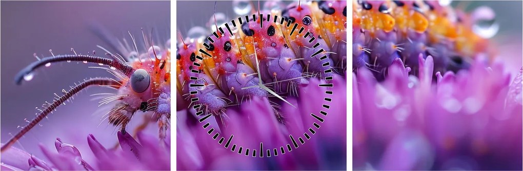 Obraz - Caterpillar (z zegarem) (90x30 cm)