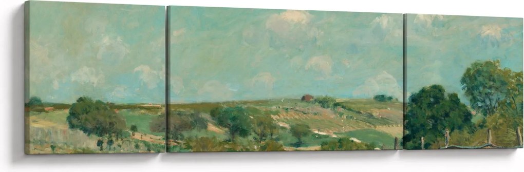 Obraz - Alfred Sisley, Meadow, reprodukcje (170x50 cm)