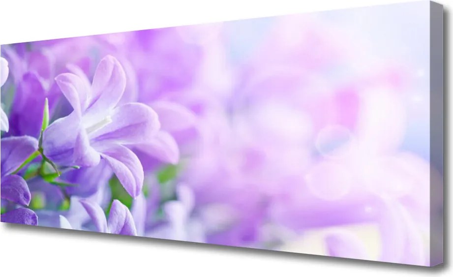 Obraz drukowany na płótnie Wykwintny Ogród Kwiatowy