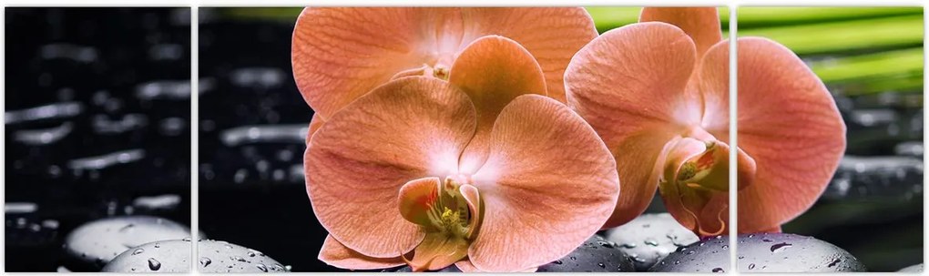 Obraz - Pomarańczowa orchidea z liśćmi palmy (170x50 cm)