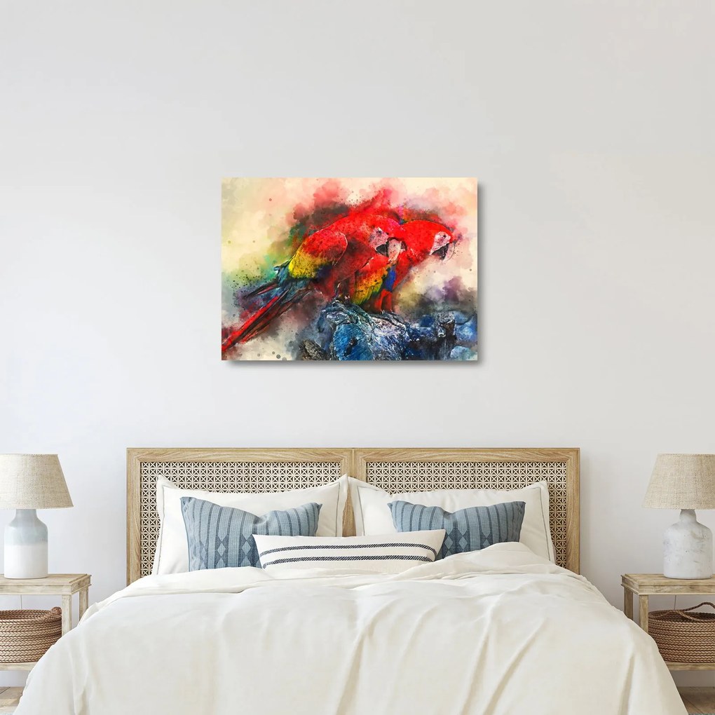Obraz na szkle czerwonych papug Ara (70x50 cm)