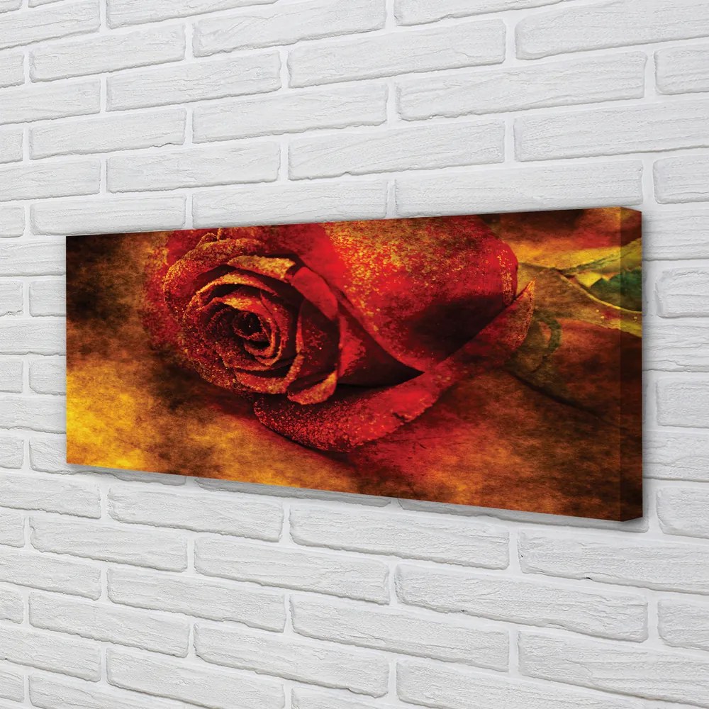 Obraz na płótnie Obraz Róży