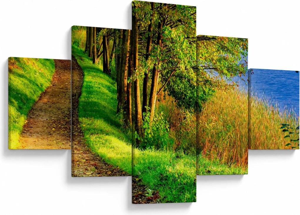Obraz szlaku wzdłuż wody (125x70 cm)