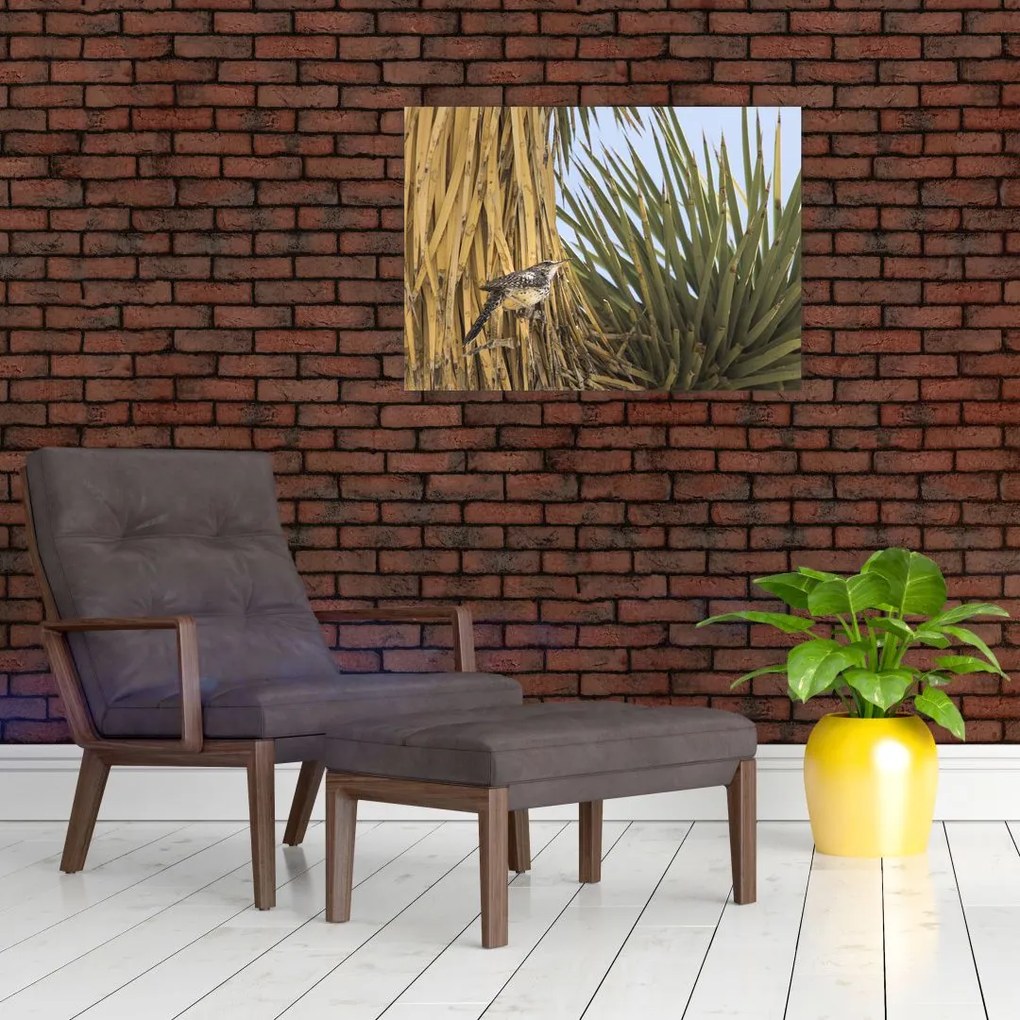 Obraz na szkle - Strzyżyk (70x50 cm)