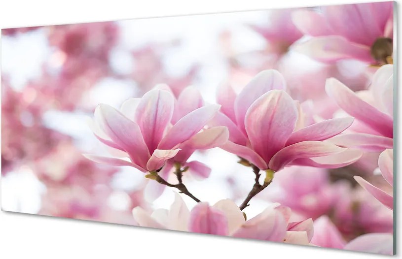 Szklany Panel Wiosenne Drzewa Magnolii
