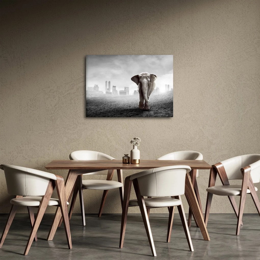 Obraz - Słonie w wielkim mieście, wersja czarno - biała (70x50 cm)