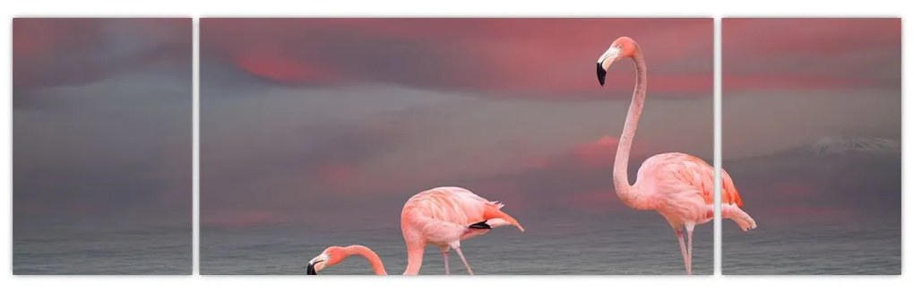 Obraz flamingów (170x50 cm)