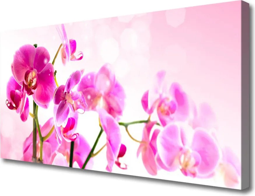 Fotoobraz na płótnie Pastelowa Kompozycja Florystyczna