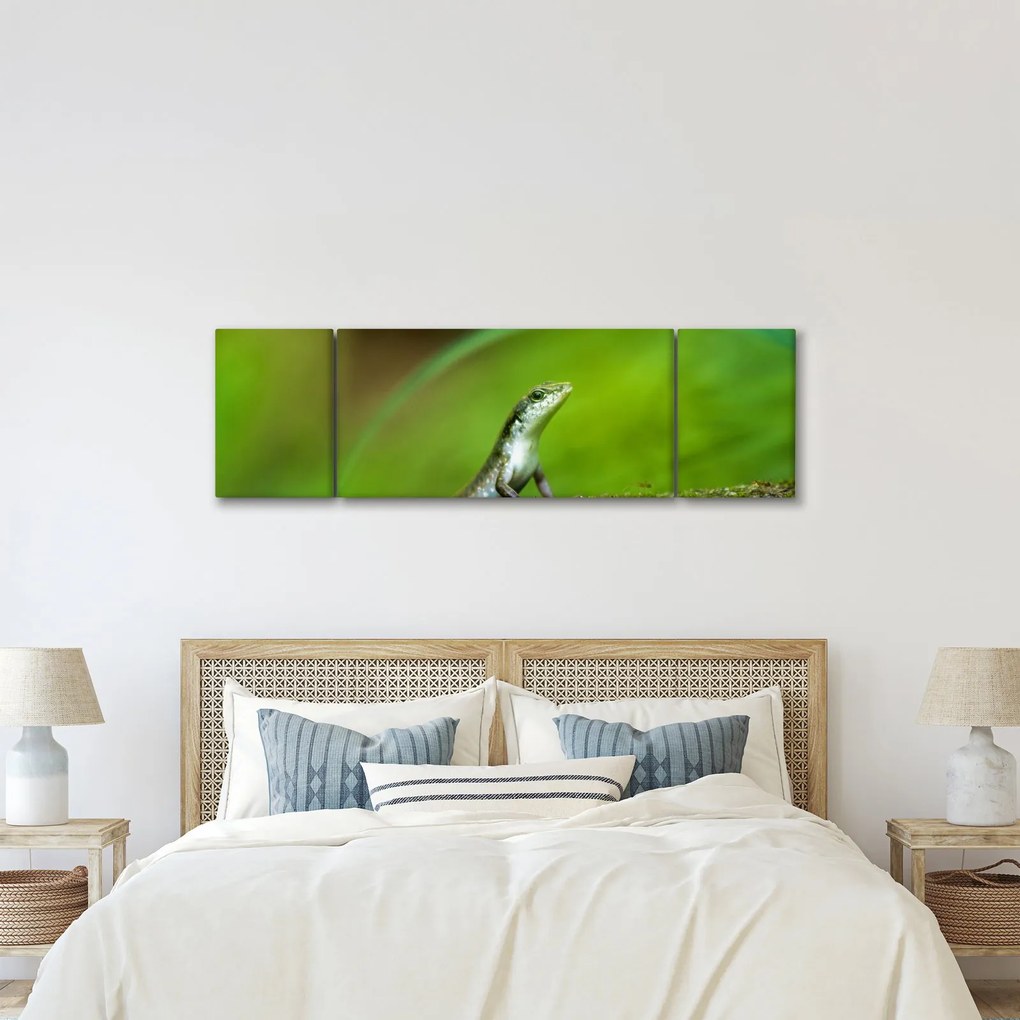 Obraz jaszczurki (170x50 cm)
