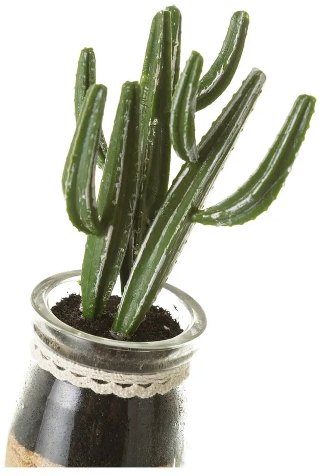 Sztuczne rośliny zestaw 4 szt. (wysokość 18 cm) Cactus – Casa Selección