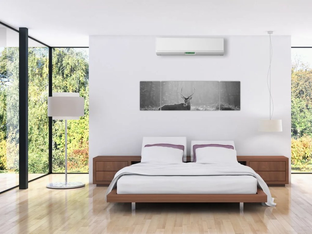 Obraz - Jeleń w lesie, czarno - biały (170x50 cm)