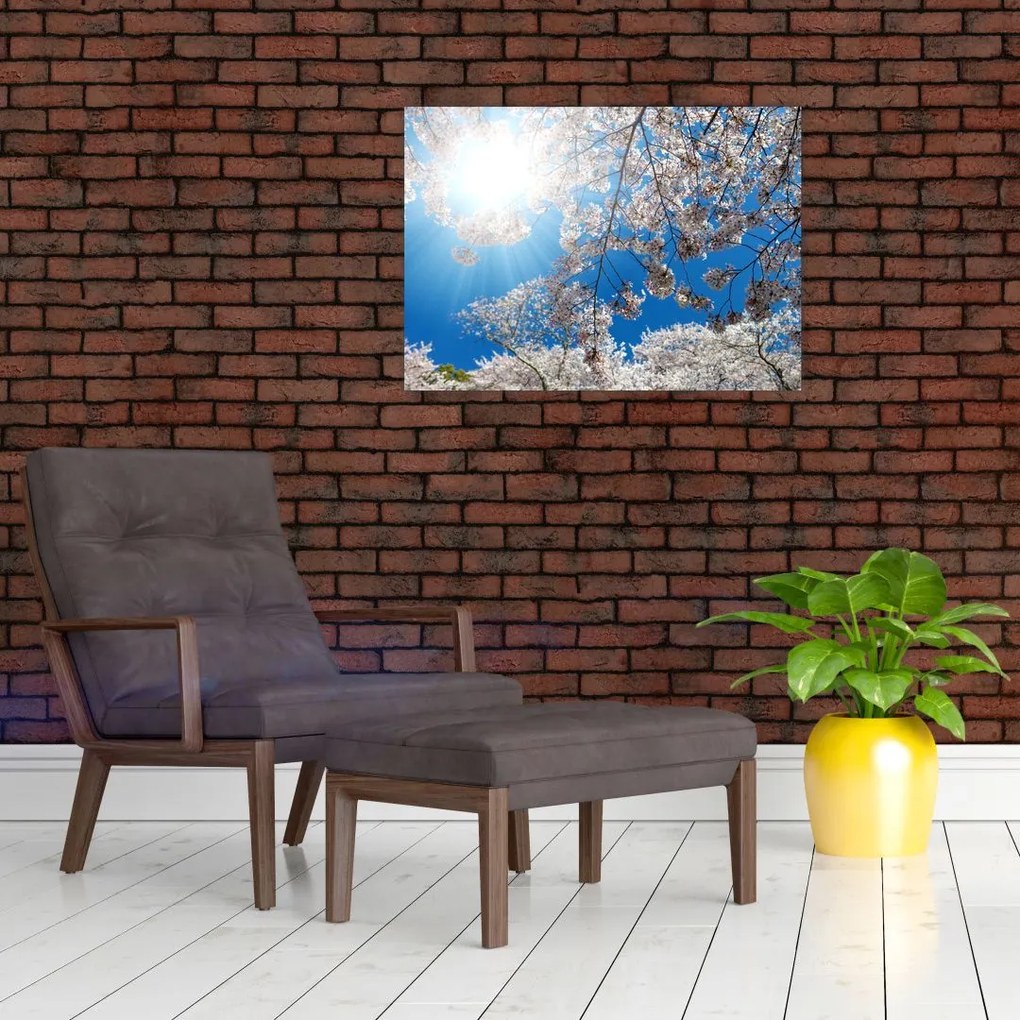 Obraz - Wiśniowe kwiaty (70x50 cm)