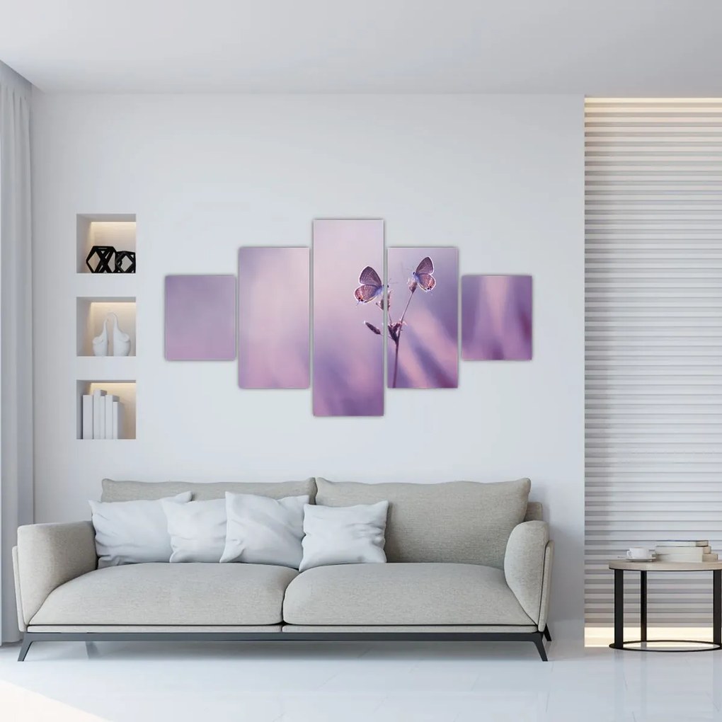 Obraz - Fioletowe motyle (125x70 cm)