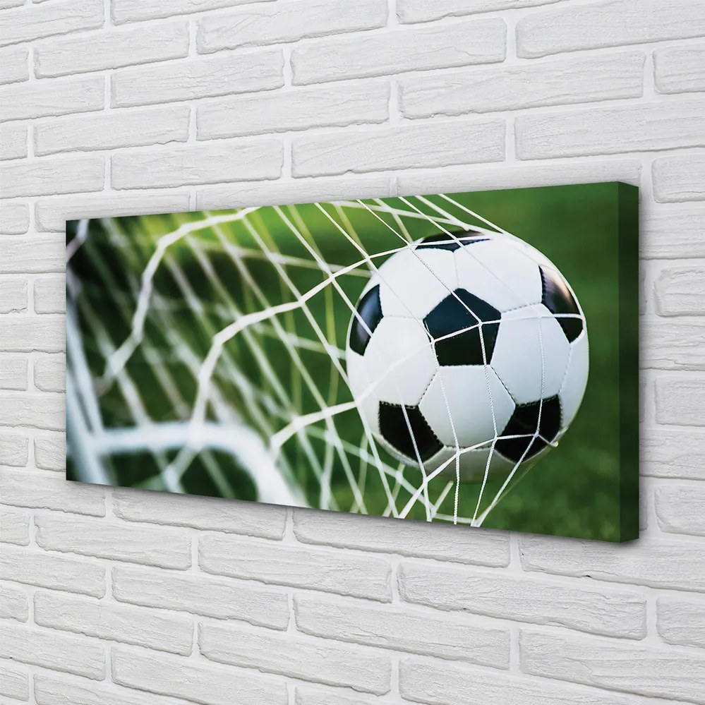 Zdjęcie na płótnie Piłka W Świetle Bramki