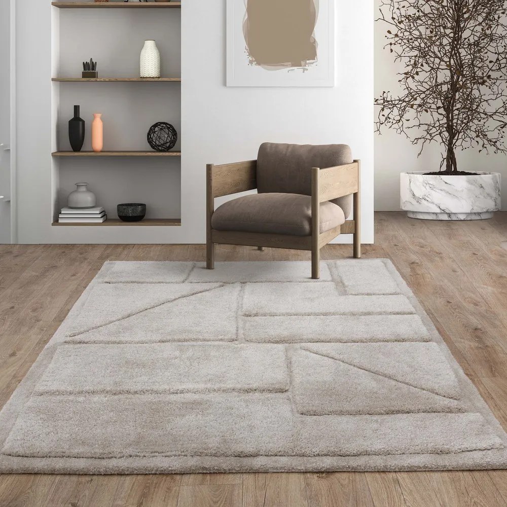 Jasnobrązowy dywan 200x290 cm Horizon – Asiatic Carpets