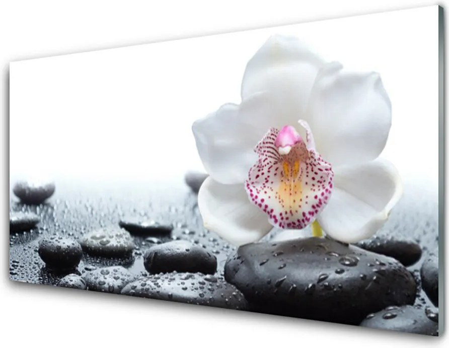 Panel Szklany Malarska Interpretacja Storczyka