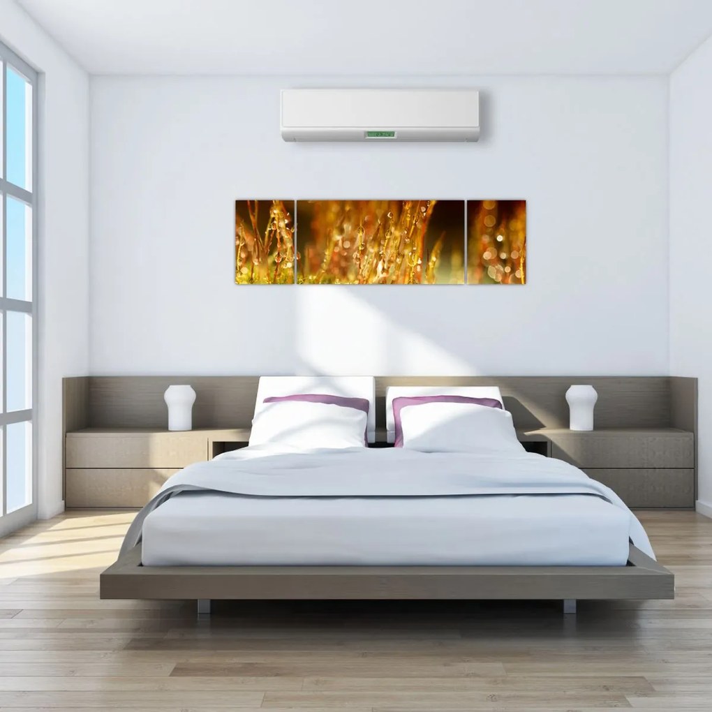 Obraz - Szczegół rosy (170x50 cm)