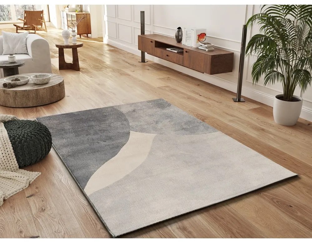 Szary dywan 160x230 cm Monic – Universal