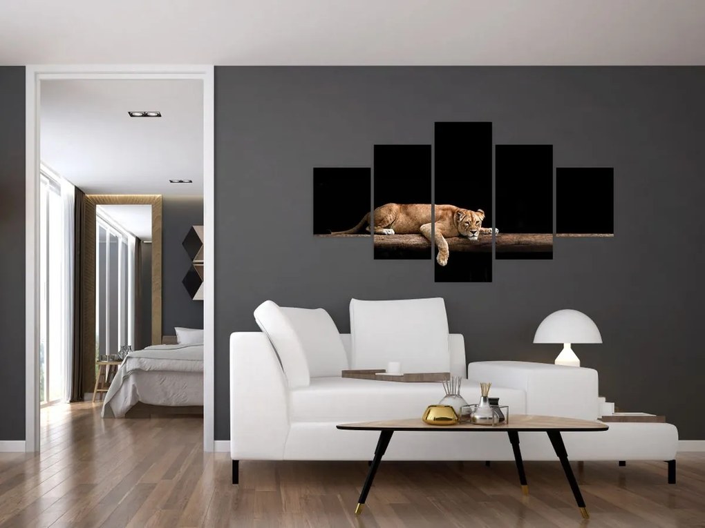 Obraz - Lwica (125x70 cm)