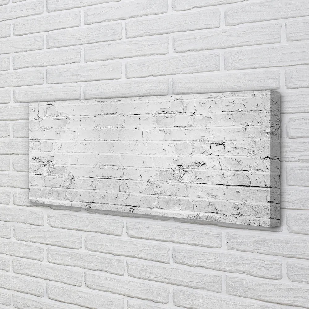 Obraz canvas na ścianę Dekoracyjny Mur Ceglany