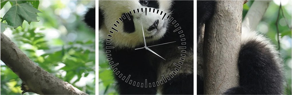 Obraz - Panda na drzewie (z zegarem) (90x30 cm)