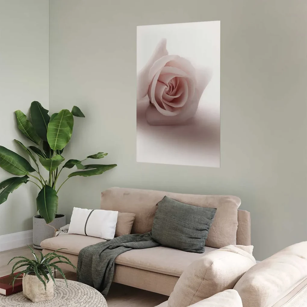 Plakat Różany cień 21x30 cm bez ramy bez marginesu ARTGEIST B