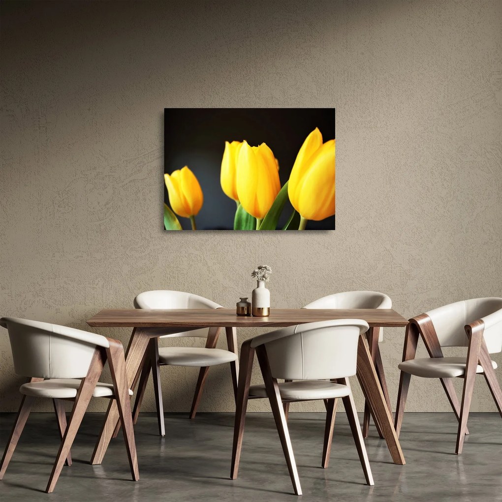 Obraz na szkle - tulipany (70x50 cm)