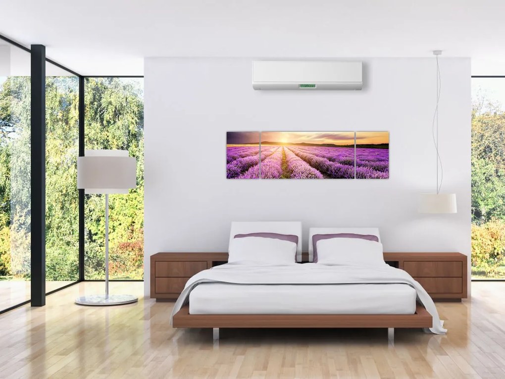 Obraz - Wschód słońca na polu lawendy (170x50 cm)