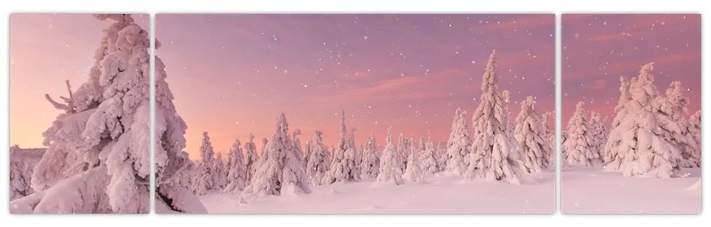 Obraz - Drzewa pod warstwą śniegu (170x50 cm)