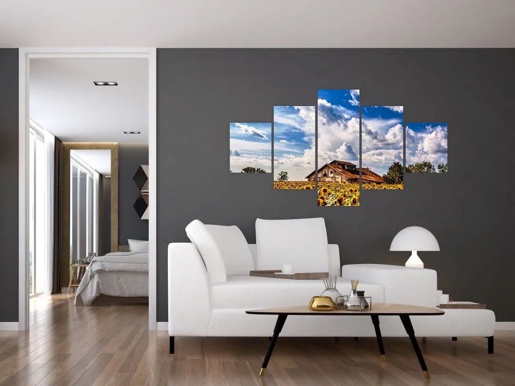 Obraz pola słoneczników (125x70 cm)