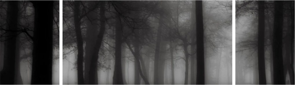 Obraz - Las we mgle (170x50 cm)