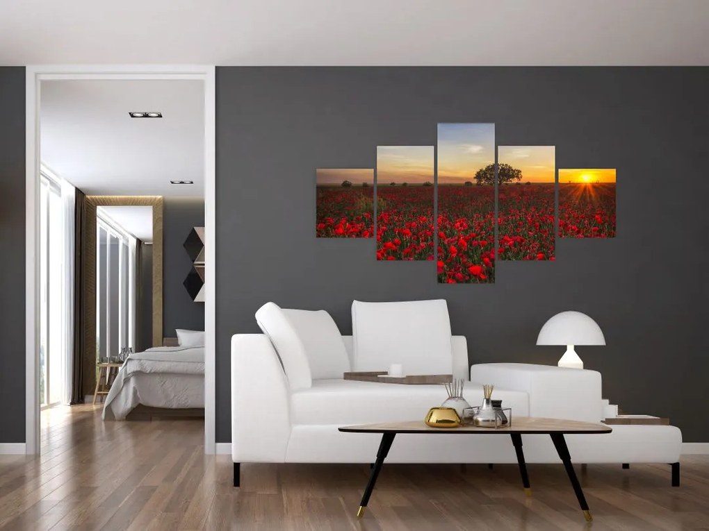 Obraz łąki z makami (125x70 cm)