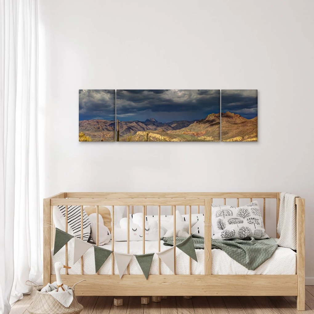Obraz - kaktusy w przyrodzie (170x50 cm)