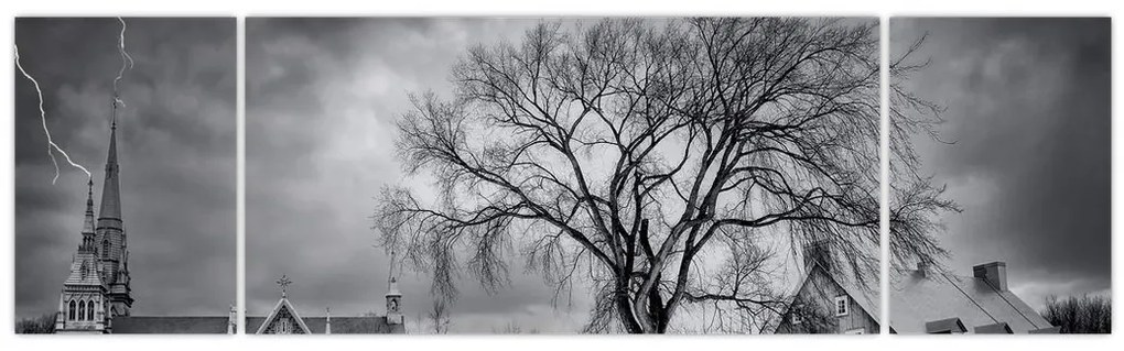 Obraz czarno - białej wioski (170x50 cm)