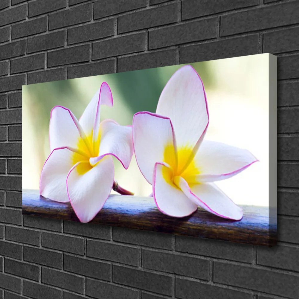 Obraz Canvas Kwiaty Płatki Plumeria