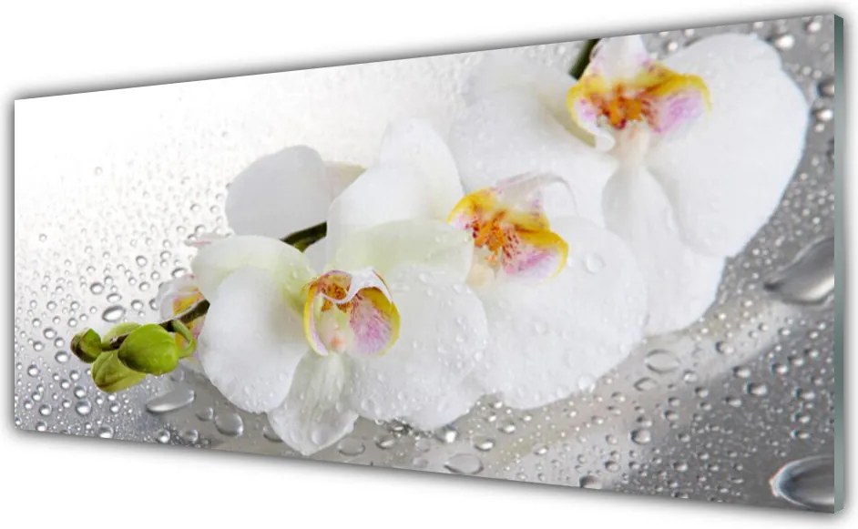 Panel Szklany Wiosenny Powiew Natury