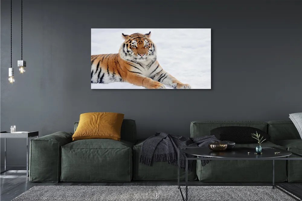 Fotoobraz na płótnie Tygrys w Zimowej Scenerii