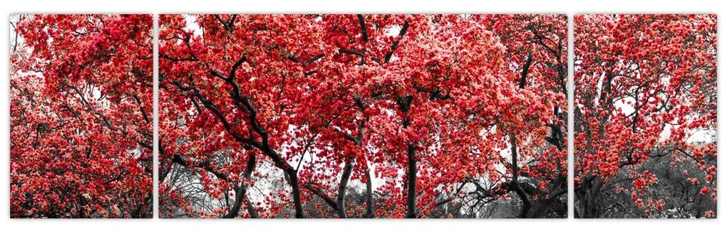 Obraz - Czerwone drzewa, Central Park, New York (170x50 cm)