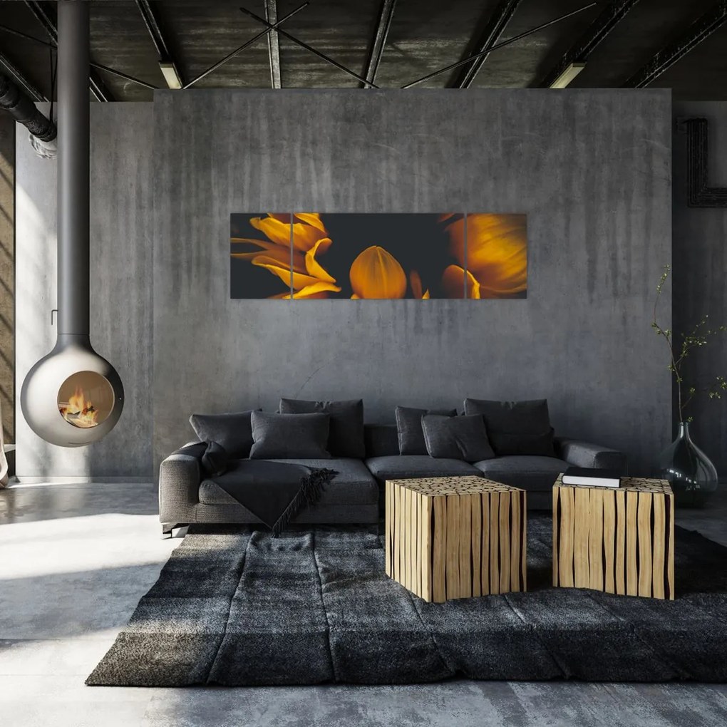 Obraz - Słoneczniki na czarnym tle (170x50 cm)