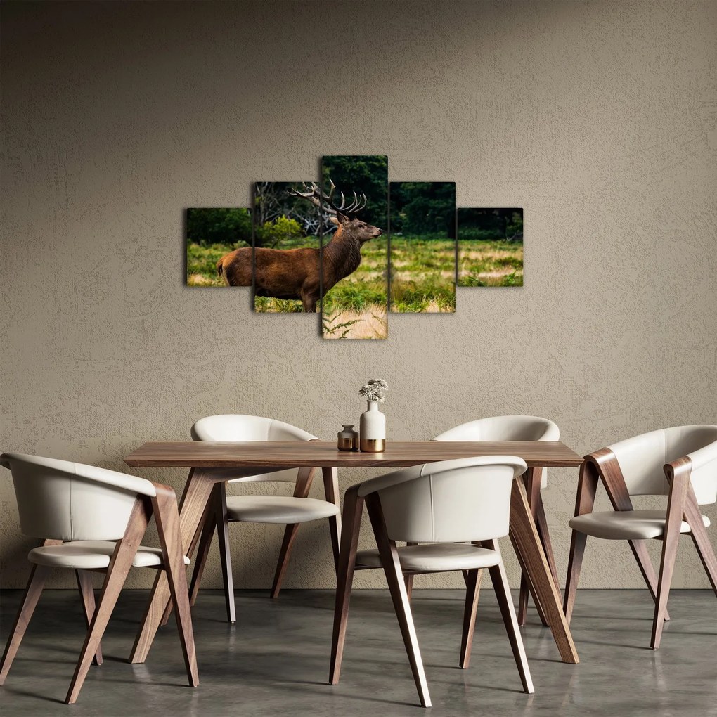 Obraz jelenia (125x70 cm)